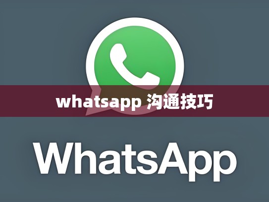 whatsapp 沟通技巧