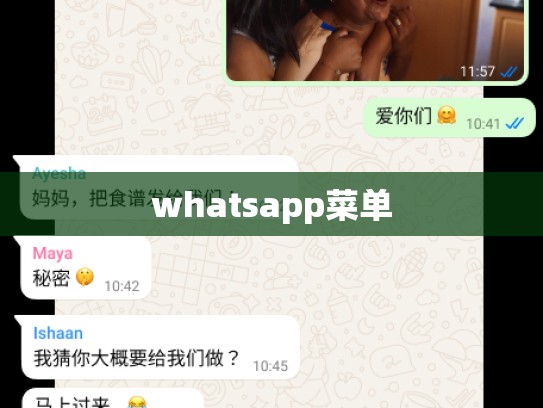 whatsapp菜单