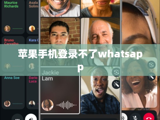 苹果手机登录不了whatsapp