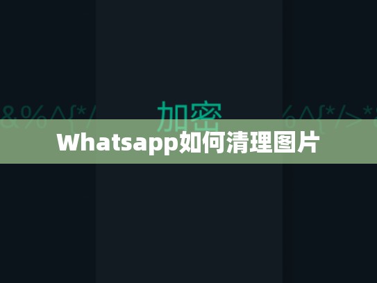 Whatsapp如何清理图片