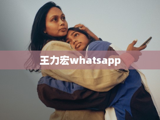 王力宏whatsapp