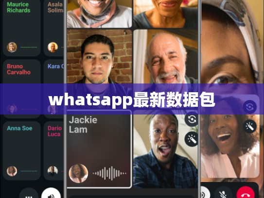 whatsapp最新数据包