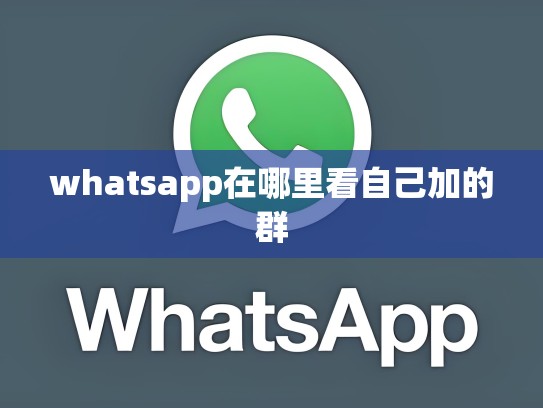 whatsapp在哪里看自己加的群