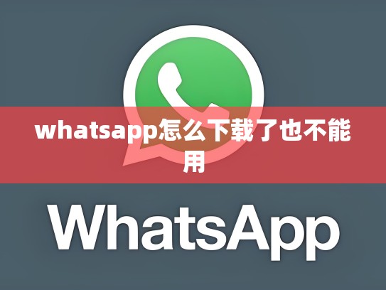 whatsapp怎么下载了也不能用
