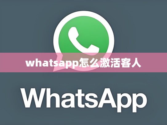 whatsapp怎么激活客人