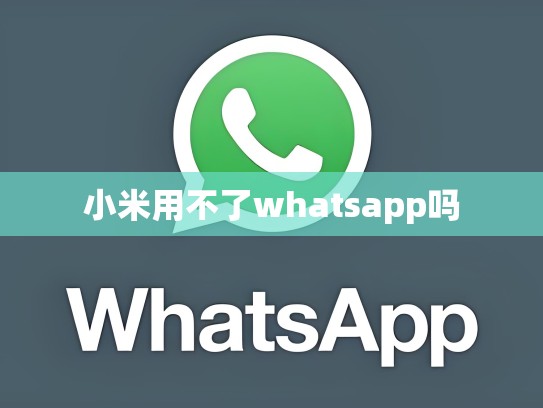 小米用不了whatsapp吗