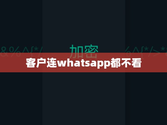 客户连whatsapp都不看