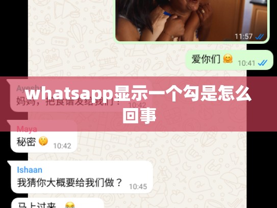 whatsapp显示一个勾是怎么回事