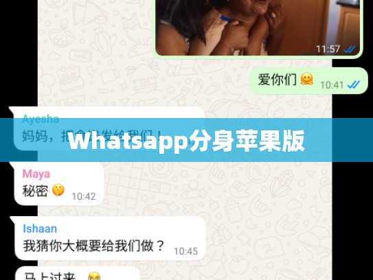 Whatsapp分身苹果版