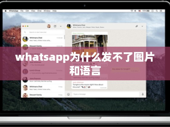 whatsapp为什么发不了图片和语言