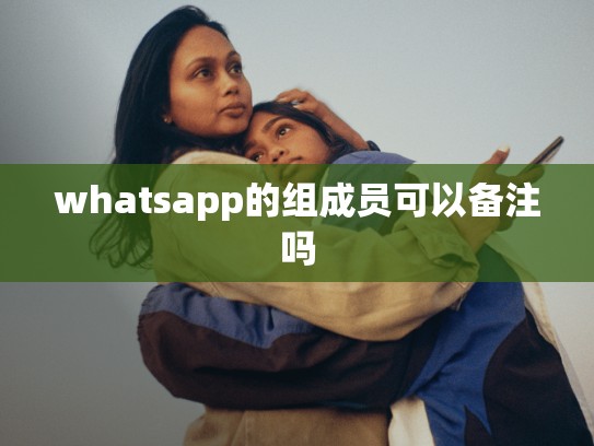 whatsapp的组成员可以备注吗