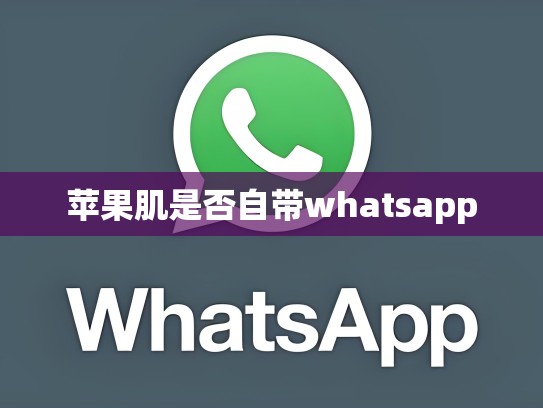 苹果肌是否自带whatsapp