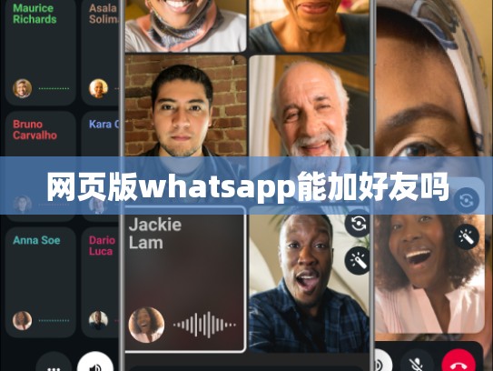 网页版whatsapp能加好友吗