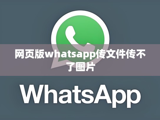 网页版whatsapp传文件传不了图片