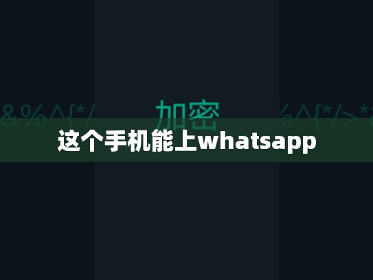 这个手机能上whatsapp