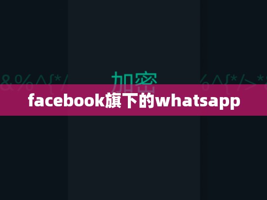 facebook旗下的whatsapp