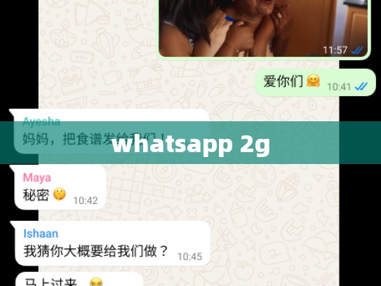 whatsapp 2g