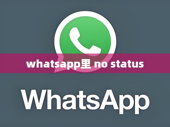 whatsapp里 no status