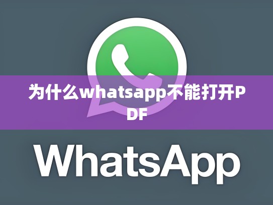 为什么whatsapp不能打开PDF
