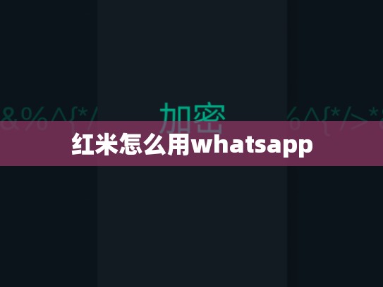 红米怎么用whatsapp