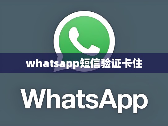 whatsapp短信验证卡住