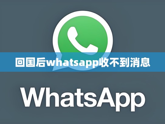回国后whatsapp收不到消息