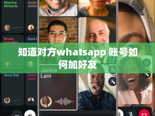知道对方whatsapp 账号如何加好友