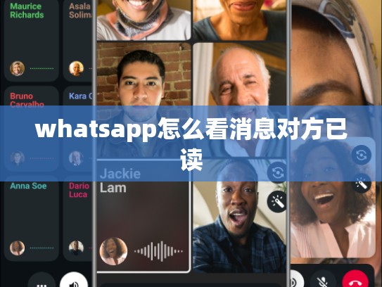 whatsapp怎么看消息对方已读