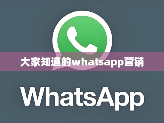 大家知道的whatsapp营销