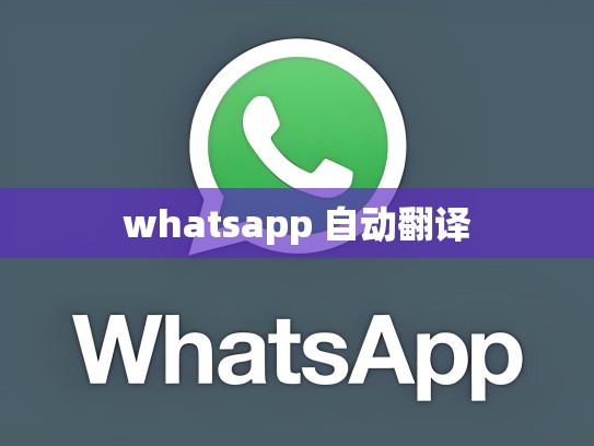whatsapp 自动翻译