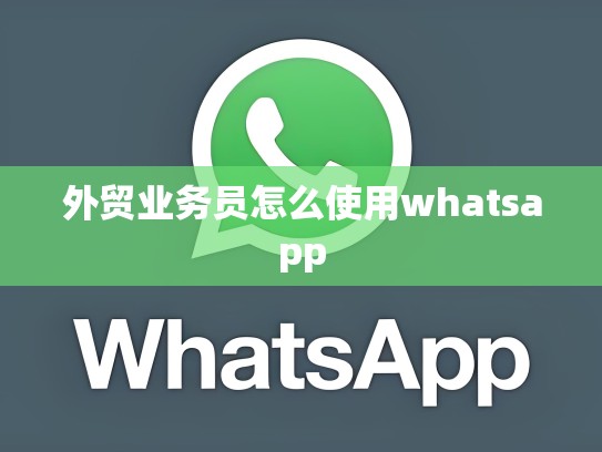外贸业务员怎么使用whatsapp