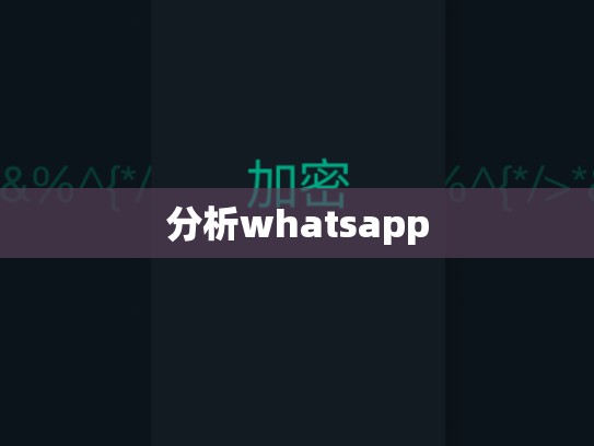 分析whatsapp