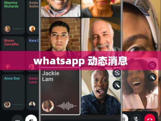 whatsapp 动态消息