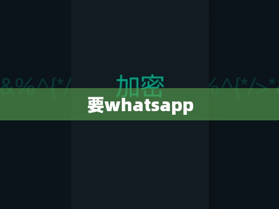 要whatsapp