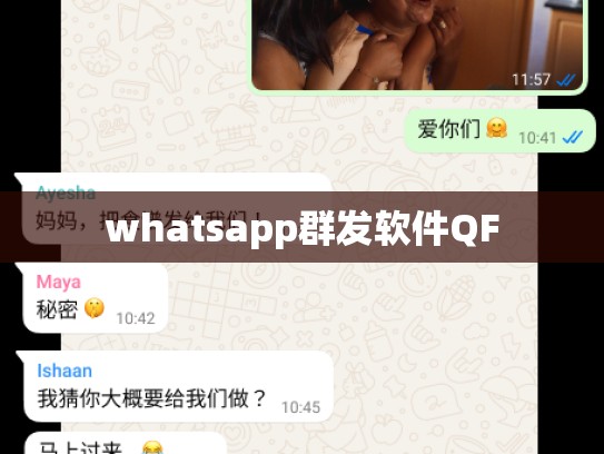 whatsapp群发软件QF