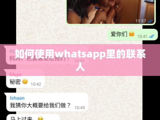 如何使用whatsapp里的联系人