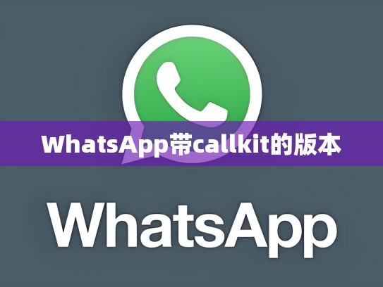 WhatsApp带callkit的版本