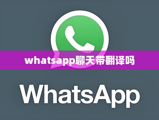 whatsapp聊天带翻译吗