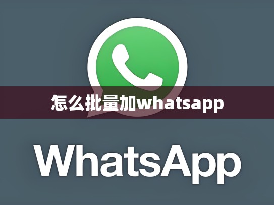 怎么批量加whatsapp