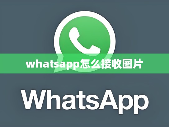 whatsapp怎么接收图片