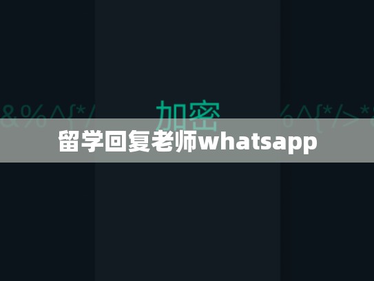 留学回复老师whatsapp