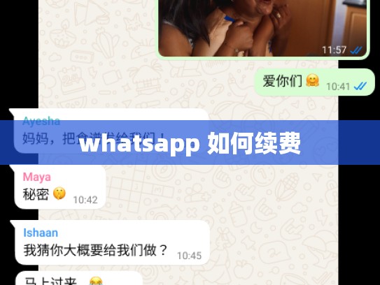 whatsapp 如何续费