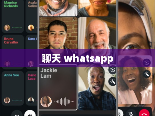 聊天 whatsapp