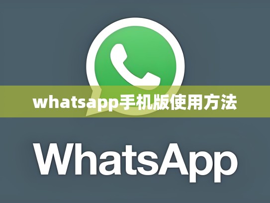 whatsapp手机版使用方法