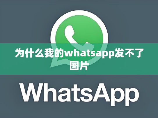 为什么我的whatsapp发不了图片