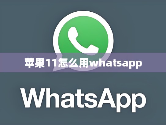 苹果11怎么用whatsapp