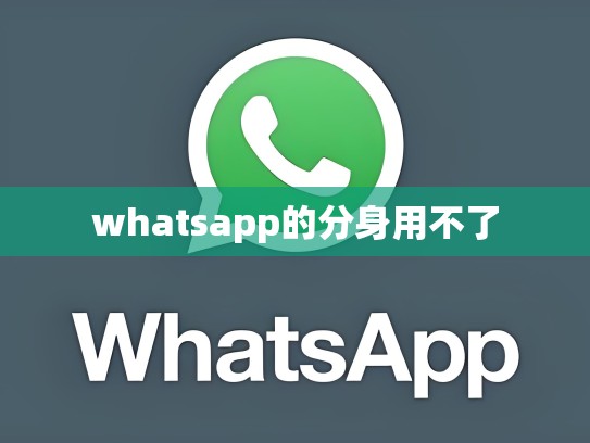 whatsapp的分身用不了