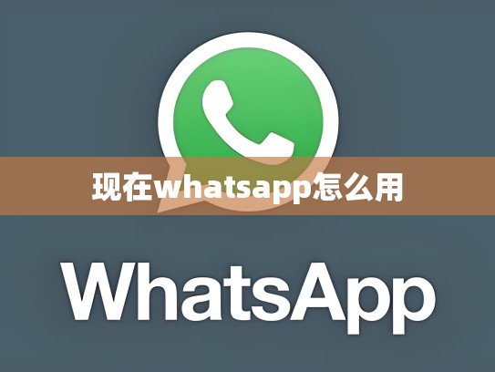 现在whatsapp怎么用