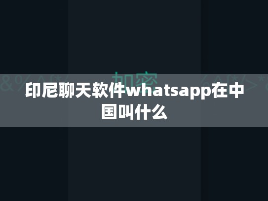 印尼聊天软件whatsapp在中国叫什么