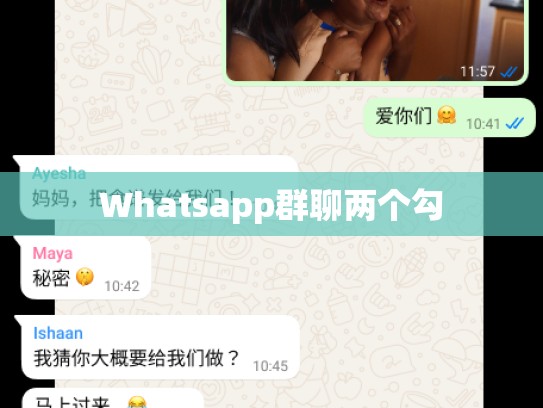 Whatsapp群聊两个勾